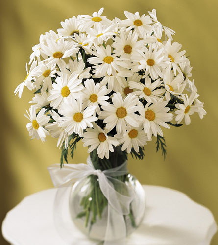 Daisy Vase